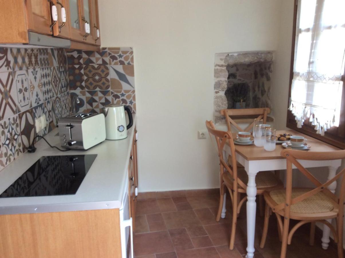 Chios Mantalenas Apartments Véssa エクステリア 写真