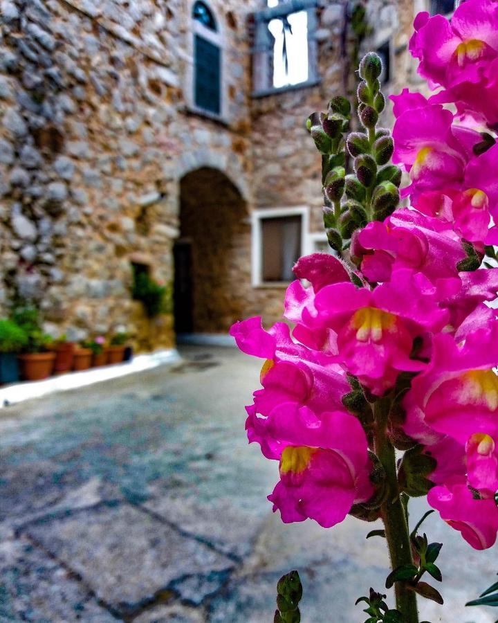 Chios Mantalenas Apartments Véssa エクステリア 写真