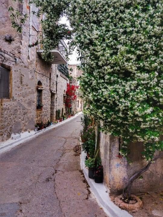 Chios Mantalenas Apartments Véssa エクステリア 写真